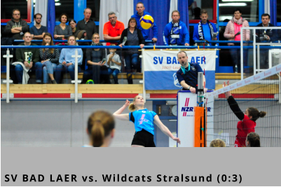 SV BAD LAER vs. Wildcats Stralsund (0:3)